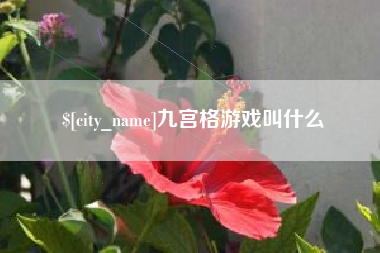 河北九宫格游戏叫什么