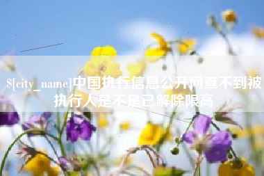 河北中国执行信息公开网查不到被执行人是不是已解除限高