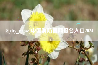 河北中国消防官网报名入口2024