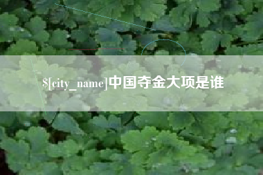 河北中国夺金大项是谁