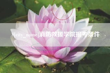 河北消防救援学院报考条件