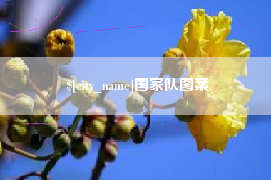 河北国家队图案