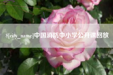 河北中国消防中小学公开课回放
