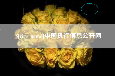 河北中国执行信息公开网