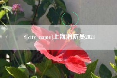河北上海消防员2021