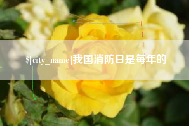 河北我国消防日是每年的