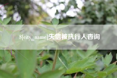 河北失信被执行人杳询