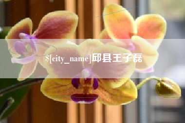 河北邱县王子磊