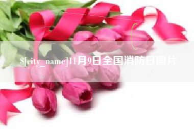 河北11月9日全国消防日图片