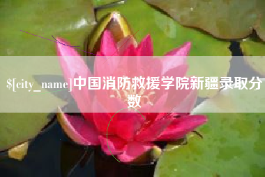 河北中国消防救援学院新疆录取分数
