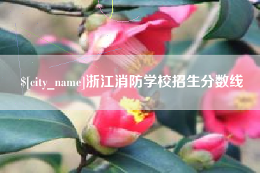 河北浙江消防学校招生分数线