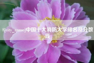 河北中国十大消防大学排名及分数线