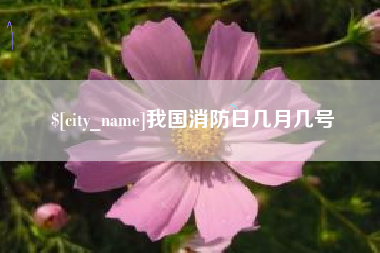 河北我国消防日几月几号