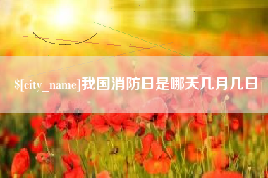 河北我国消防日是哪天几月几日