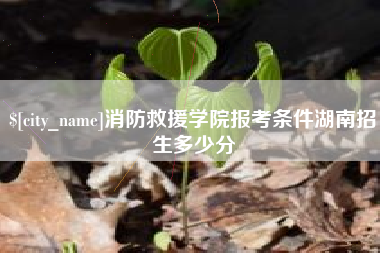 河北消防救援学院报考条件湖南招生多少分