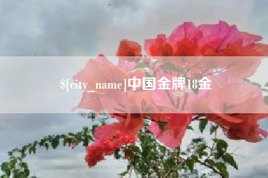 河北中国金牌18金