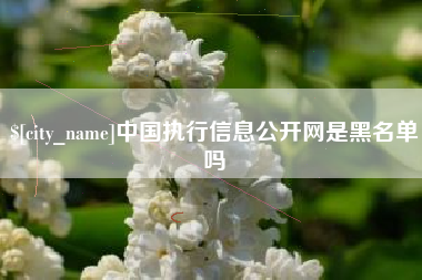 河北中国执行信息公开网是黑名单吗