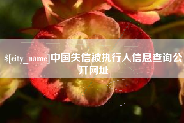 河北中国失信被执行人信息查询公开网址