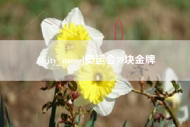 河北奥运会39块金牌