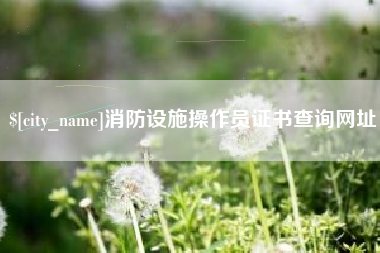 河北消防设施操作员证书查询网址