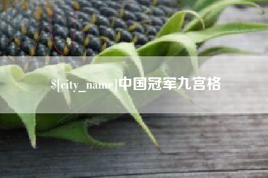 河北中国冠军九宫格