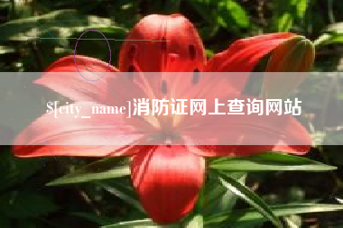 河北消防证网上查询网站