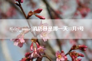 河北消防日是哪一天11月9号