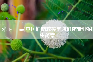 河北中国消防救援学院消防专业招生简章