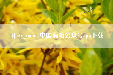 河北中国消防公众号app下载