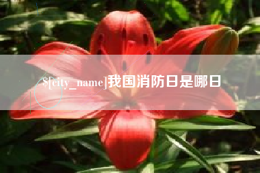 河北我国消防日是哪日