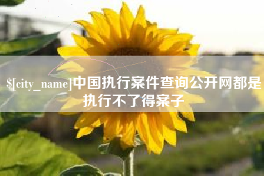 河北中国执行案件查询公开网都是执行不了得案子