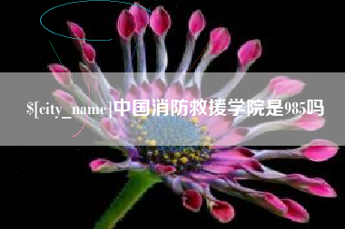 河北中国消防救援学院是985吗
