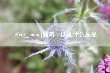 河北消防ccc认证什么意思
