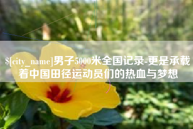 河北男子5000米全国记录-更是承载着中国田径运动员们的热血与梦想