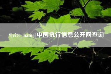 河北中国执行信息公开网查询