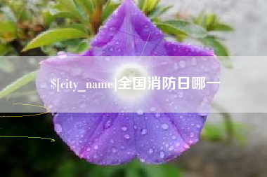 河北全国消防日哪一