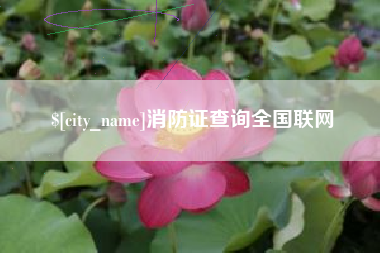河北消防证查询全国联网