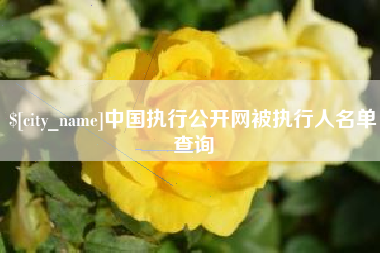 河北中国执行公开网被执行人名单查询