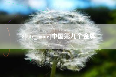 河北中国第九个金牌