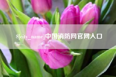河北中国消防网官网入口