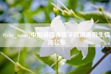 河北中国消防救援学院湖南招生情况公布