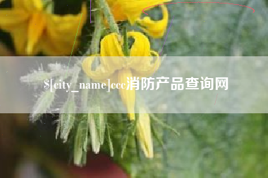 河北ccc消防产品查询网