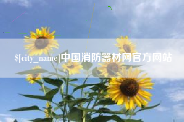 河北中国消防器材网官方网站