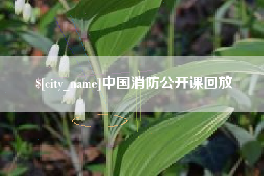 河北中国消防公开课回放