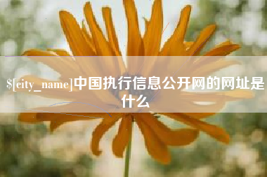 河北中国执行信息公开网的网址是什么