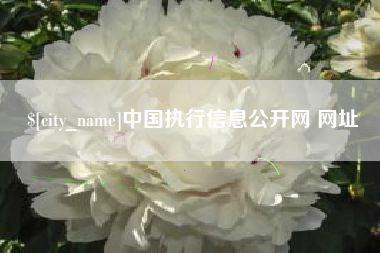 河北中国执行信息公开网 网址