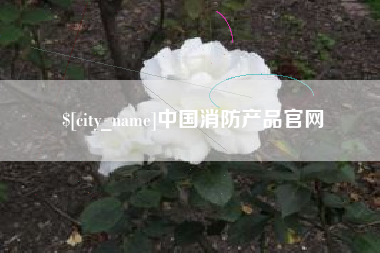 河北中国消防产品官网