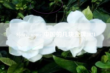 河北中国的几块金牌2021