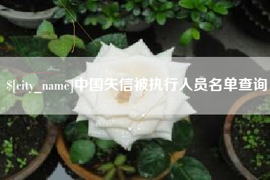 河北中国失信被执行人员名单查询