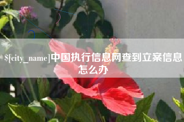 河北中国执行信息网查到立案信息怎么办
